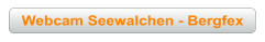 Webcam Seewalchen - Bergfex