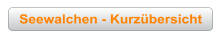 Seewalchen - Kurzübersicht