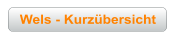 Wels - Kurzübersicht