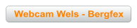 Webcam Wels - Bergfex