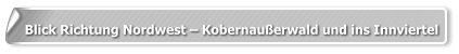 Blick Richtung Nordwest – Kobernaußerwald und ins Innviertel