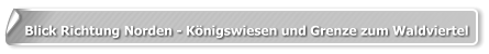 Blick Richtung Norden - Königswiesen und Grenze zum Waldviertel