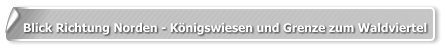 Blick Richtung Norden - Königswiesen und Grenze zum Waldviertel