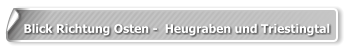Blick Richtung Osten -  Heugraben und Triestingtal