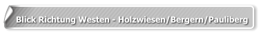 Blick Richtung Westen - Holzwiesen/Bergern/Pauliberg
