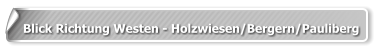 Blick Richtung Westen - Holzwiesen/Bergern/Pauliberg
