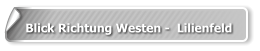 Blick Richtung Westen -  Lilienfeld