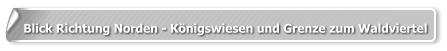 Blick Richtung Norden - Königswiesen und Grenze zum Waldviertel